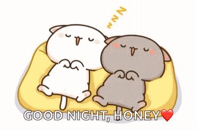 Two Cats Sleeping With Good Night Honey GIF