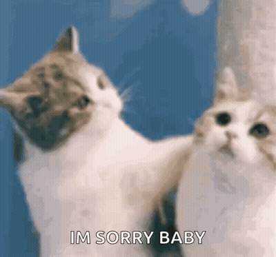 Two Cats Standing Side By Side One Looking At Camera GIF