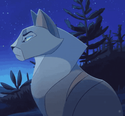 Two Cats Standing Together GIF