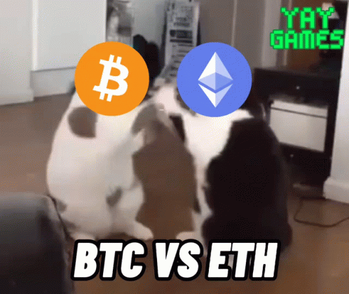 Two Cats Standing Together With BTC Vs ETH GIF