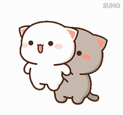 Two Cats Standing Together GIF