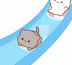 Two Cats Swim GIF