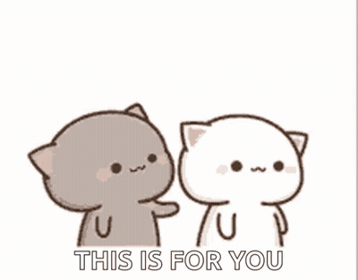 Two Cats Touching Faces GIF