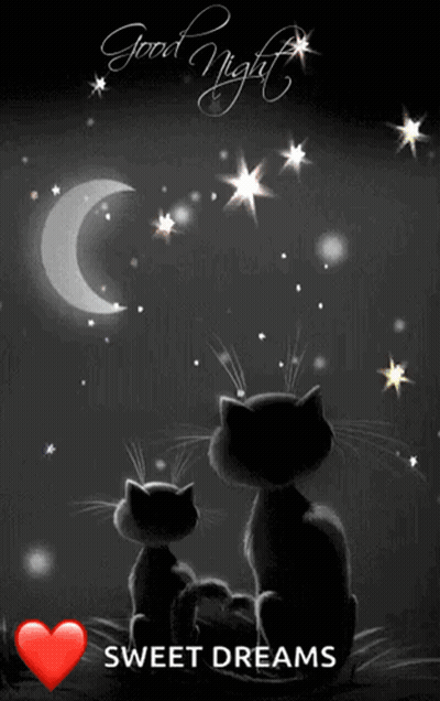 Two Cats Under Crescent Moon Good Night Sweet Dreams GIF