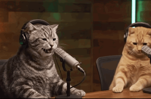 Two Cats Wearing Headphones Are Sitting At A Table With Microphones GIF