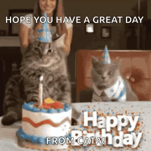 Two Cats Wearing Party Hats Are Sitting In Front Of A Birthday Cake With A Candle . GIF