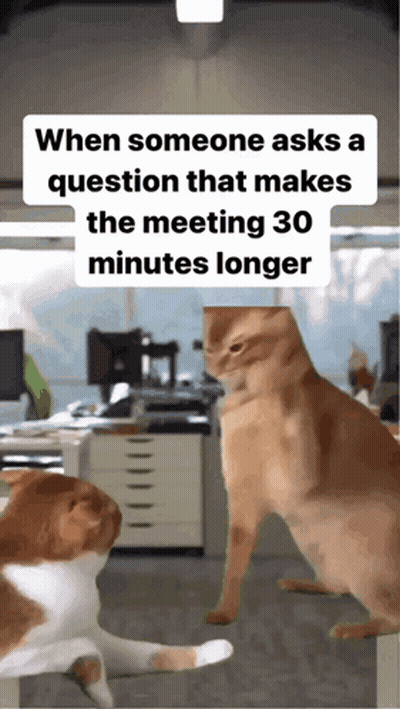 Two Cats When Someone Asks Question That Makes Meeting 30 Minutes Longer GIF