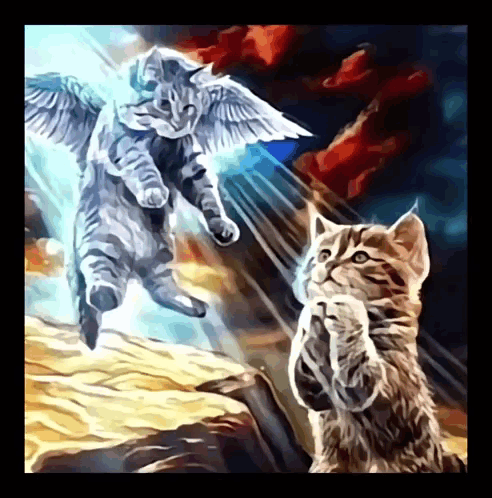 Two Cats With Angel Wings Looking Up GIF