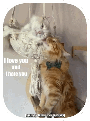 Two Cats With I Love You And I Hate You Sticker