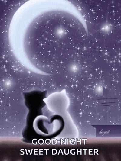 Two Cats With Tails In Heart Shape GIF
