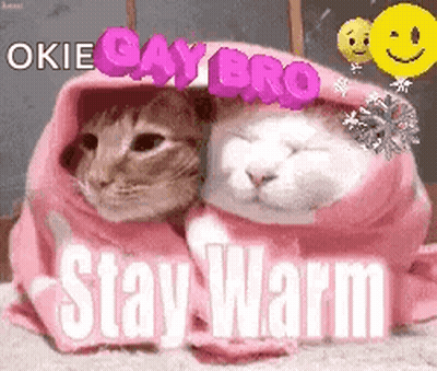 Two Cats Wrapped In A Pink Blanket With The Words Stay Warm Written On It GIF