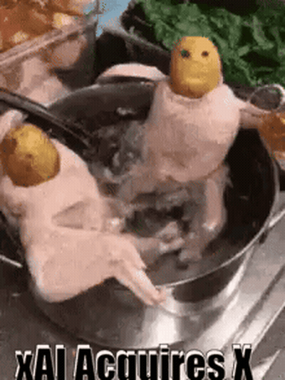 Two Chickens Are Sitting In A Pot Of Water With A Face On Their Heads . GIF