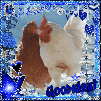 Two Chickens Saying Good Night GIF