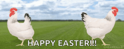 Two Chickens Standing In Field Happy Easter GIF
