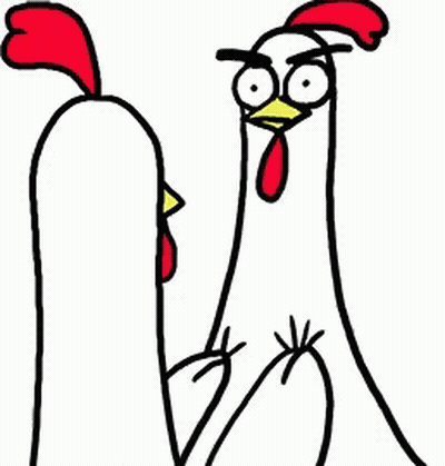 Two Chickens Standing With Open Beaks GIF
