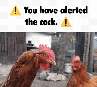 Two Chickens Warning Sign You Have Alerted The Cock GIF
