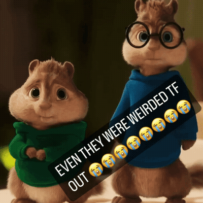Two Chipmunks Even They Were Weirded TF Out GIF
