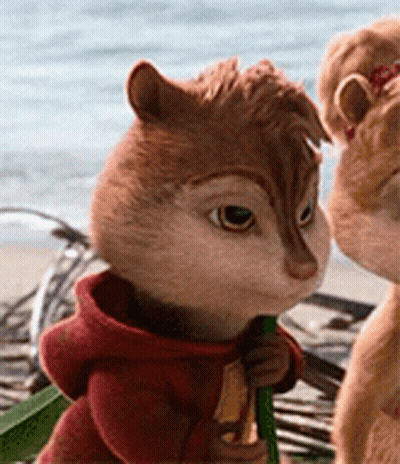 Two Chipmunks On Beach GIF