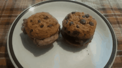 Two Chocolate Chip Cookies On A White Plate With A Black Rim GIF