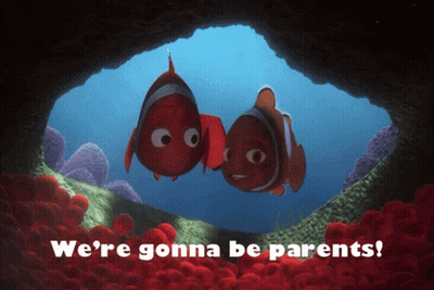 Two Clown Fish In Cave Saying We're Gonna Be Parents GIF