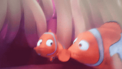 Two Clown Fish Looking At Each Other GIF