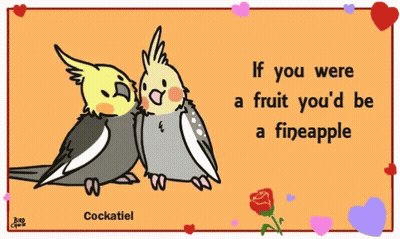 Two Cockatiels Kissing On Card Saying If You Were A Fruit You'd Be A Fineapple GIF