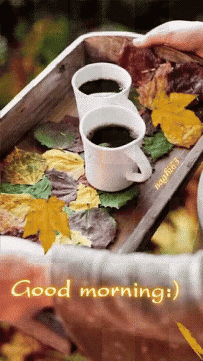 Two Coffee Cups With Leaves Saying Good Morning GIF