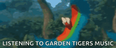 Two Colorful Parrots Listening To Garden Tigers Music GIF