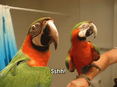 Two Colorful Parrots On Arm One Saying Sshh GIF
