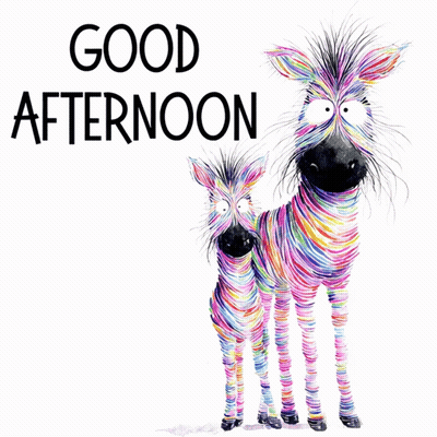 Two Colorful Zebras Are Standing Next To Each Other With The Words Good Afternoon Above Them GIF