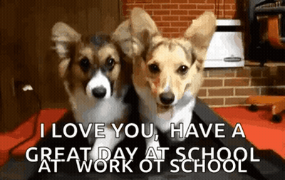 Two Corgi Dogs Are Sitting Next To Each Other With The Words `` I Love You , Have A Great Day At Work At School '' GIF