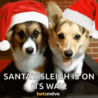 Two Corgi Dogs In Santa Hats With Santas Sleigh On Its Way GIF