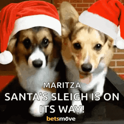 Two Corgi Dogs Wearing Santa Hats With The Words Maritza Santa 'S Sleigh Is On Its Way GIF