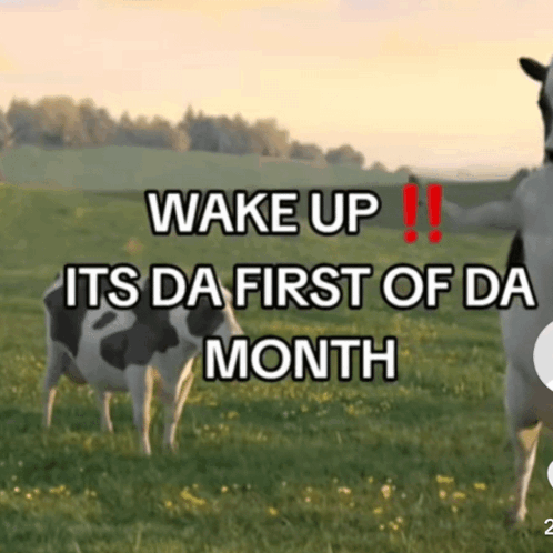 Two Cows Are Standing In A Grassy Field With The Words Wake Up Its Da First Of Da Month GIF