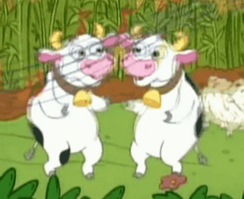 Two Cows Are Standing Next To Each Other On A Grassy Field GIF