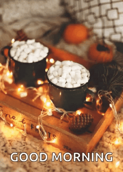 Two Cups Of Hot Chocolate With Marshmallows Saying Good Morning GIF