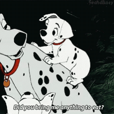 Two Dalmatians Asking For Food GIF