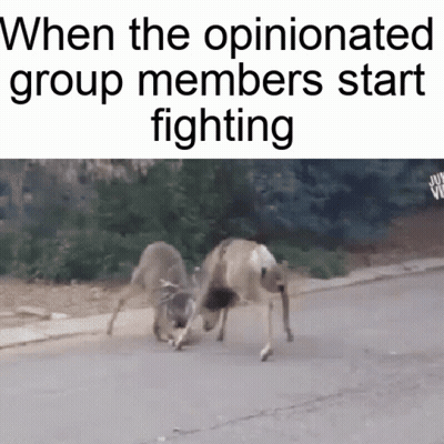 Two Deer Fighting When Opinionated Group Members Fight GIF