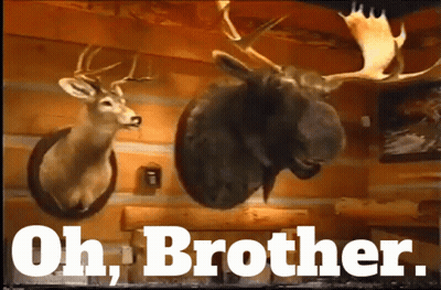 Two Deer Heads Mounted Below Oh Brother GIF