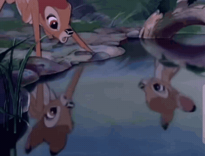 Two Deer Standing By Water GIF