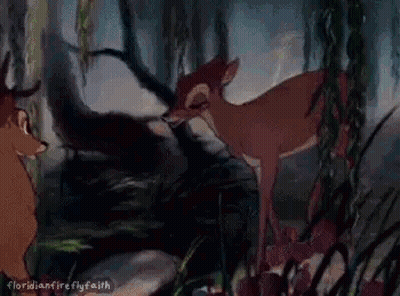 Two Deer Standing In Forest GIF