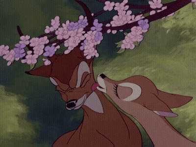 Two Deer Standing In Forest GIF