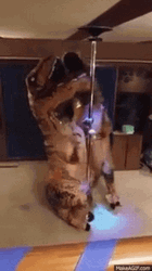 Two Dinosaur Mascots Pole Dancing GIF