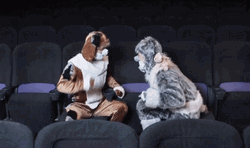 Two Dog Man Fighting GIF
