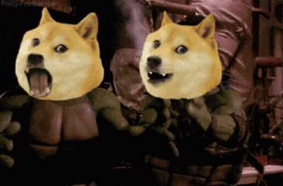 Two Doggos Dressed As Teenage Mutant Ninja Turtles Pretty Frankenstein GIF