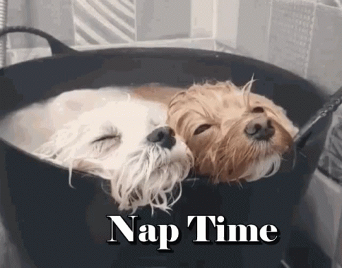 Two Dogs Are Laying In A Bathtub With The Words Nap Time Below Them GIF