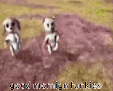 Two Dogs Are Running In A Field With The Words Good Mornign Funkies GIF