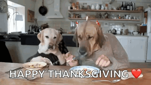 Two Dogs Are Sitting At A Table With A Plate Of Food And The Words Happy Thanksgiving Written Below Them GIF