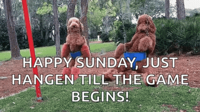 Two Dogs Are Sitting On A Swing In A Park With The Words `` Happy Sunday , Just Hangen Till The Game Begins ! '' GIF