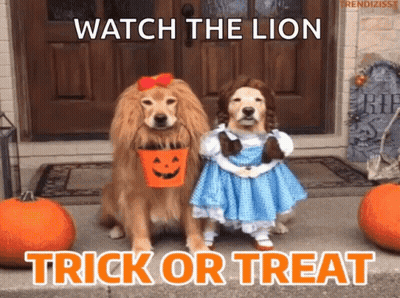 Two Dogs As Wizard Of Oz Characters With Trick Or Treat Sign GIF